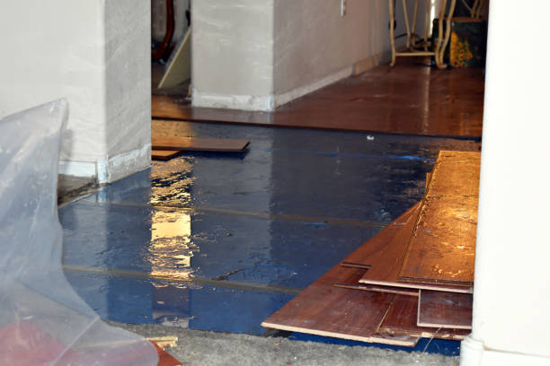 Professional Emergency Water Damage Restoration technician working in Rhome, TX